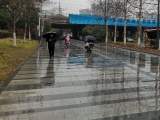 雷电、8级左右雷雨大风……亳州发布强对流黄色预警信号 