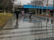 雷電、8級左右雷雨大風……亳州發布強對流黃色預警信號 