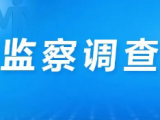光明房地产集团股份有限公司原董事长张智刚接受监察调查