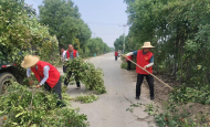 壽縣隱賢鎮黨建引領人居環境再提升