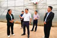 樅陽縣長調研農業農村工作 