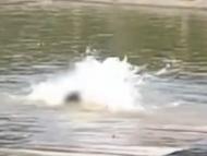 網傳一男子度假區玩“水上飄”時溺亡  重慶市事發地多部門回應