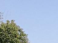 36.1℃！上海氣溫破百年來5月高溫紀錄