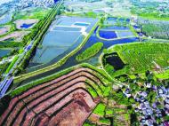 巢湖半島濕地公園：機(jī)械作業(yè)完善濕地基礎(chǔ)設(shè)施