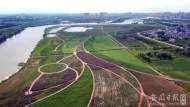 蚌埠固鎮：澮河濕地公園景色美