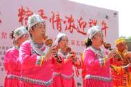 端午游園可采“廉” “廉”葉田田潤心間  