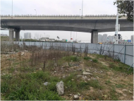 合肥包河區淝河鎮：拆圍透綠，轉角遇見新風景