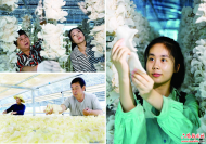 六安：玉木耳種植促增收