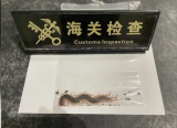 武汉查获剧毒蜈蚣127条