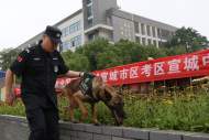 宣城警方出動警犬護航高考