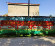 任橋鎮(zhèn)積極開展第五次全國經(jīng)濟普查宣傳工作