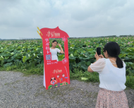 肥西縣豐樂鎮“打卡拍照”點燃“學習強國”學習熱