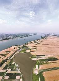 淮南市小麥搶收逾九成