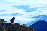 夏日避暑胜地黄山  18℃的清凉与多彩之旅