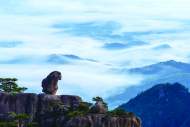 夏日避暑勝地黃山  18℃的清涼與多彩之旅