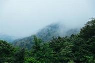 圖說半湯：霧雨朦朧山林間，山路蜿蜒入云天