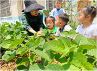 懷寧縣金拱鎮中心幼兒園：快樂種植，親近自然