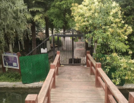 探秘合肥杏花公園摩天輪告別之“旅”