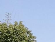 遼寧日最高氣溫42.9℃  為2018年以來歷史同期最高