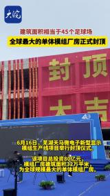 全球最大单体模组厂房芜湖天马项目正式封顶

