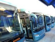 蚌埠音樂節期間 5路免費公交擺渡車來保障市民出行
