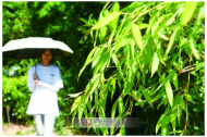 阜陽(yáng)：雨水來“串門”，后期氣溫回升