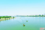 六安：除水草 護(hù)河道