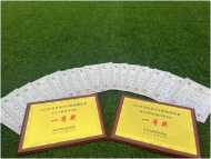 懷寧縣石牌鎮中心學校在安慶市啦啦操比賽中喜獲佳績