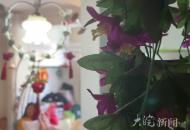 2023安徽唯一盲人高考生郁曉楠：未來想成為特教老師