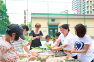 安巢經開區：濃情端午 “粽”有心意
