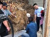 貴池區牌樓鎮：以改廁實效提升村民“幸福成色”