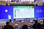 波士顿咨询公司：长三角有望成为全球规模体量最大城市群