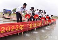 十萬余尾魚苗投放巢湖