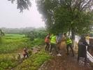 暴雨致道路塌陷 芜湖公路部门及时处置除隐患