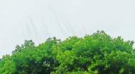 李星濤：清涼齋記
