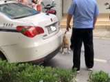 网友发文称被江苏扬州一民警强奸 警方：涉事民警已调离原单位