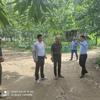 单王乡：党委书记“深调研” 推进乡村振兴走深走实