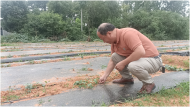 懷寧縣金拱鎮：特色種植拓寬致富路  