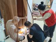 宜秀區大龍山鎮總鋪社區：白蟻防治辦實事 為民服務解難題