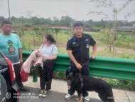 汪汪隊(duì)立功！警犬追蹤一小時(shí)，成功尋回走失女子