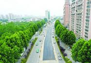 巢湖市抱書河生態清潔小流域建設污水綜合整治工程（長江中路段）放行通車