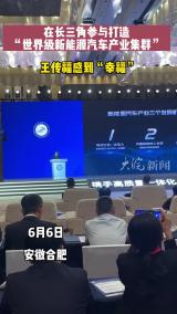 在长三角参与打造“世界级新能源汽车产业集群”  王传福感到“幸福”