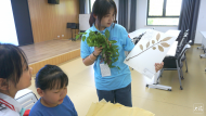 快樂暑托·多彩假日|“行知學堂”，真開心！