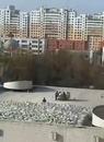 齊齊哈爾體育館坍塌事故 知情人士稱：整個屋頂坍塌，沒地可躲