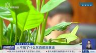上海一23歲海歸被騙18萬后離家失聯 被發現時已上飛機準備去泰國