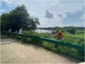 懷寧金拱：清理路邊雜草，保障安全通行