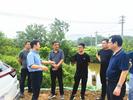 枞阳县领导督导S232公路项目建设工作