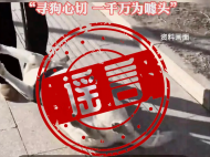 鄭州通報“千萬尋狗”：消息系杜撰 發布者被行拘15日