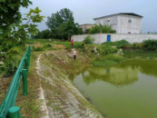 五河縣尤巷村清理溝塘雜草提升鄉村“氣質”