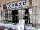 臺風泰利登陸：鯨魚被沖上岸引圍觀